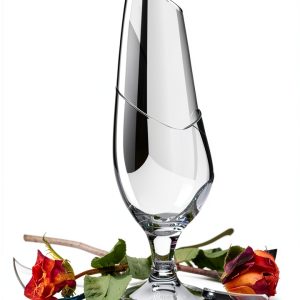 Roses and Rage BPD Kindle Edition by [Brand Name]-0